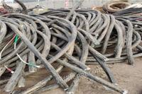 长期回收高低压废电缆线
