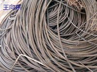 江苏回收高低电柜电线电缆