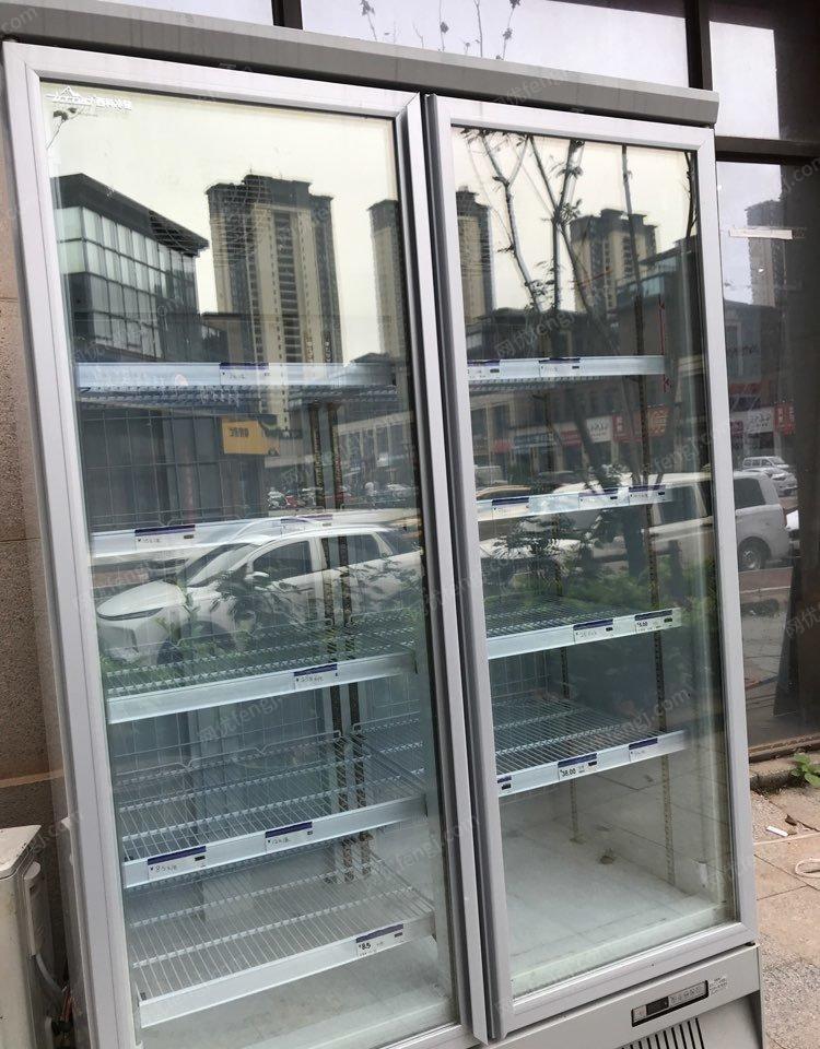 江西南昌出售全铜管，制冷设备进口机，双开立式冷冻柜1台，6000元不议价