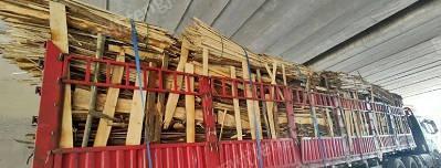 每月有300到400吨木头出售