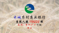 
浙江禾城农村商业银行社会自然人股权119222股带证转让处理招标