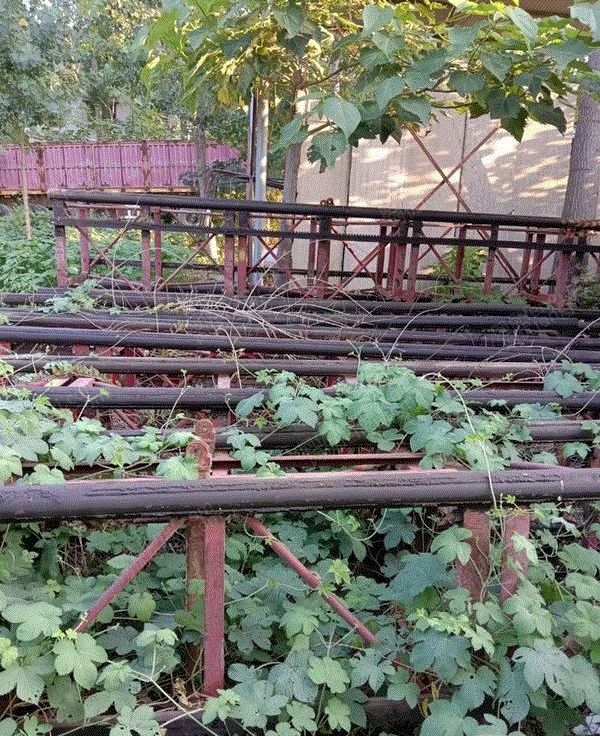 二手建筑施工电梯转让
