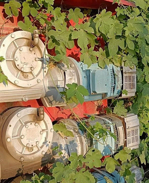二手建筑施工电梯价格