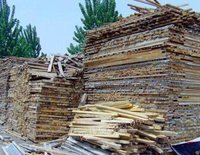 泰州回收二手木方模板