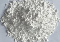 布吕格曼 BRUGGOLEN H10