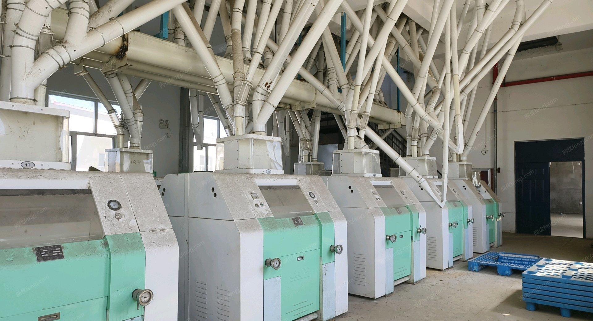 内蒙古乌海12年虎山日处理100吨面粉设备出售