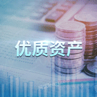 【平安银行】持有的赵坤抵押债权（三拍）