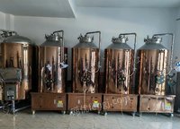 黑龙江伊春出售 精酿鲜啤设备一年多，一拖4的500升带技术