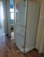 黑龙江齐齐哈尔出售三门冰箱，北方新天地有电梯（自提）