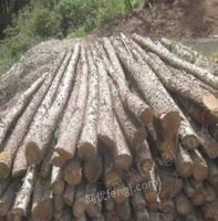 固原市原州区林业总场2023年一批伐倒木转让项目招标
