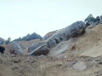 徐州市铜山区独龙山地质灾害治理工程项目治理过程中产生的废弃土石料(国资监测编号GR2024JS4000380)招标