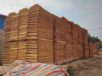 鹿寨县森鑫源发木业有限公司二级（1270*630*3.2mm）桉木单板转让项目