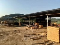 鹿寨县森鑫源发木业有限公司二级（1270*630*3.2mm）桉木单板转让项目
