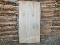 鹿寨县庆丰木材有限公司统板（960*480*1.9mm）桉单板板材转让项目