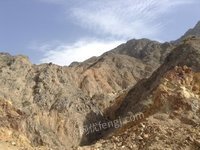 位于新疆若羌县托盖里克东铜矿勘探探矿权(国资监测编号GR2024XJ1000054)招标