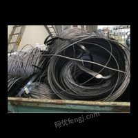 01月29日09:30废打包带浦项（天津）钢材加工有限公司