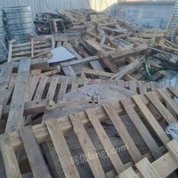 02月01日13:30废木头（木托盘、设备用包装物等）山东泰山不锈钢有限公司