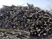 绥芬河林场一批原木和薪材分别转让