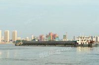 国能远海航运（武汉）有限公司部分资产(“国电长江02”散货船)招标