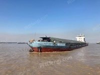 国能远海航运（武汉）有限公司部分资产(“国电长江01”散货船)招标
