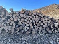 约470吨原木（规格材）木材交易项目，标的1（内蒙古毕拉河林业有限责任公司）招标
