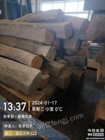 322-緬花方料（約6.32噸）拍賣