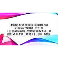 12月31日上海輕檸新能源科技有限公司無形資產整體打包（包含商標、軟件著作權、微信公眾號、微博等共計9項）拍賣