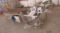 四川凉山彝族自治州出售4米果气泡喷淋蔬清洗机