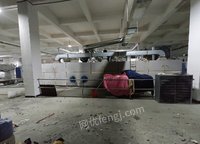 江西南昌出售15年单层蒸汽网带烘干机