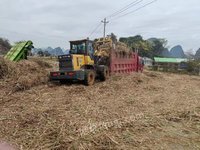 鹿寨县平山镇喜农农机专业合作社2000吨甘蔗叶转让项目