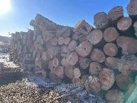 标1，约474吨火烧木（规格材约90吨，非规格材约384吨）商品木材转让（内蒙古毕拉河林业有限责任公司）