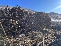标1，约474吨火烧木（规格材约90吨，非规格材约384吨）商品木材转让（内蒙古毕拉河林业有限责任公司）
