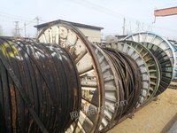 胜利油田孤东采油厂2024-1-10废电泵电缆（铜芯）处置处理招标