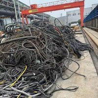 04月01日09:00废铜电缆广西盛隆冶金有限公司
