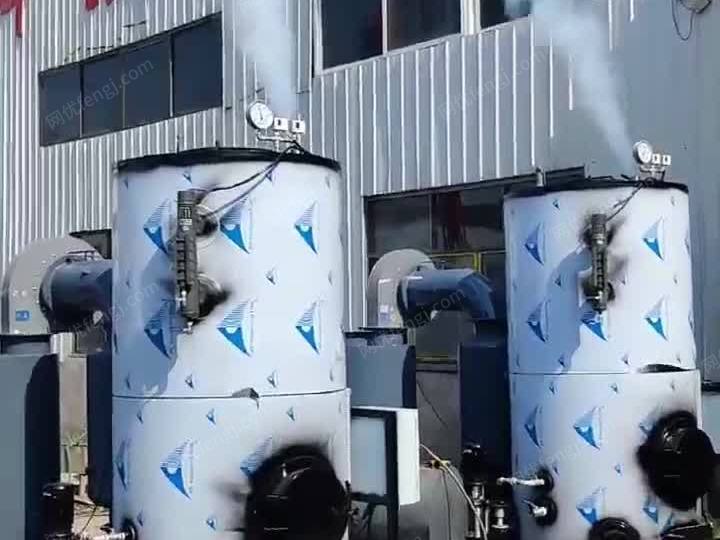 蒸汽锅炉，蒸汽发生器 视频
