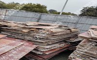 ]川南能源新建厂房项目废木材处理（竞价）处置招标
