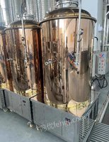 辽宁沈阳责任全新精品精酿啤酒设备，5个发酵罐