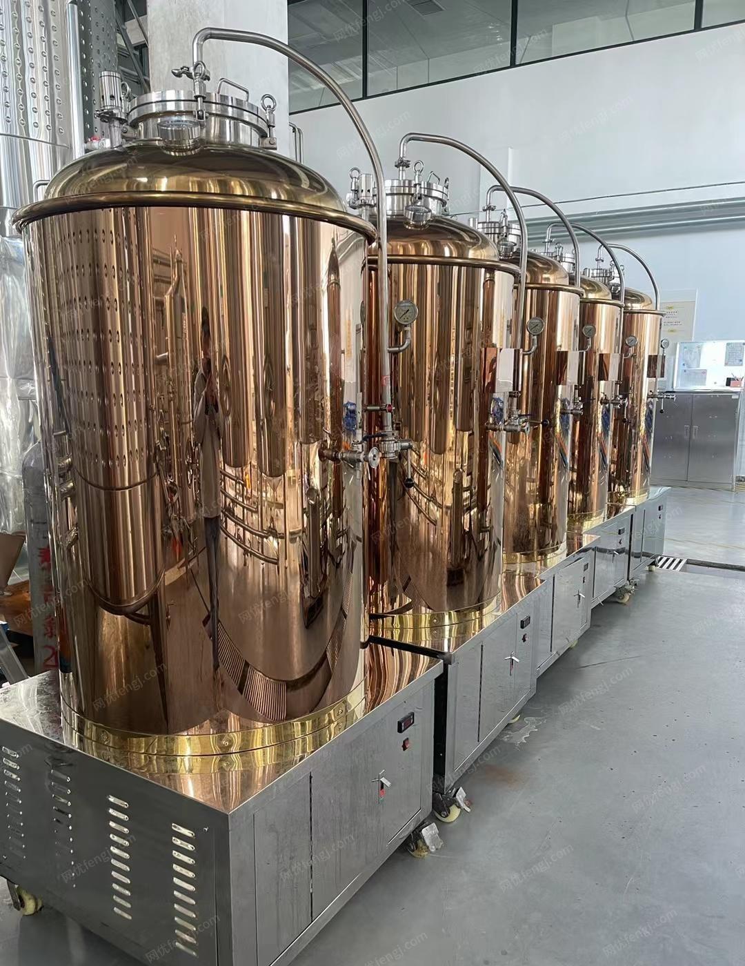辽宁沈阳责任全新精品精酿啤酒设备，5个发酵罐