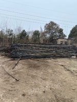 河南油田采油二厂旧抽油杆等废旧物资24003处理招标