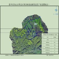 桂平市垌心乡坪冲林场4宗林地合作经营（12年）项目