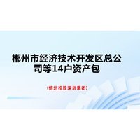 郴州市经济技术开发区总公司等14户资产包