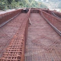 04月22日10:00废铁重庆钢铁集团建设工程有限公司(250.000吨)处置