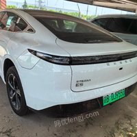 04月29日09:00电动轿车(1辆)芜湖威仕科材料技术有限公司处置