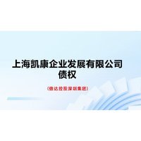上海凯康企业发展有限公司债权