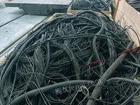 7吨废旧电缆线、信号线等处置招标