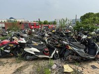 5月21日
一批报废车（29辆汽车+180辆二轮摩托车+1辆三轮摩托车+非机动车约200辆）仅限拆解处理招标