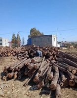 盐源县林草资源经营公司木材一批转让招标