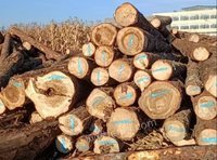 盐源县林草资源经营公司木材一批转让招标