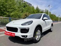 520ձʱCayenne/Դ()3.0TԶŷ17