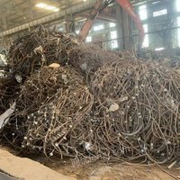 05月20日10:00废粗钢丝绳(80吨)武汉钢铁有限公司处置